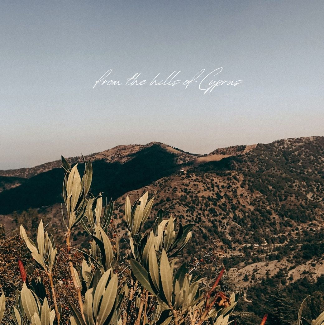A scenic landscape photograph of rolling hills and mountains under a pale blue sky, with silhouetted shrubs in the foreground and the white script text 'from the bells in Cyprus' across the upper center.