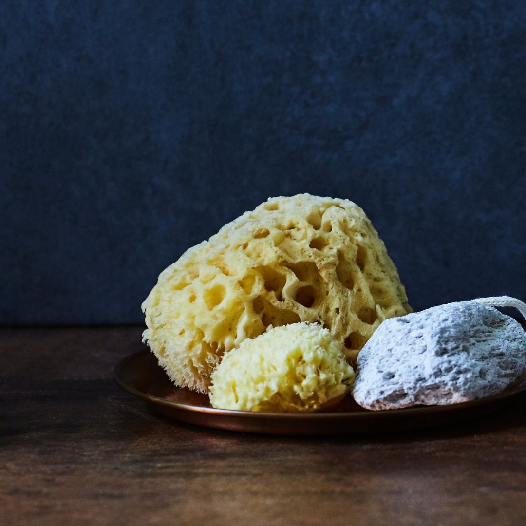 Gold Honeycomb Sponge 5.5”